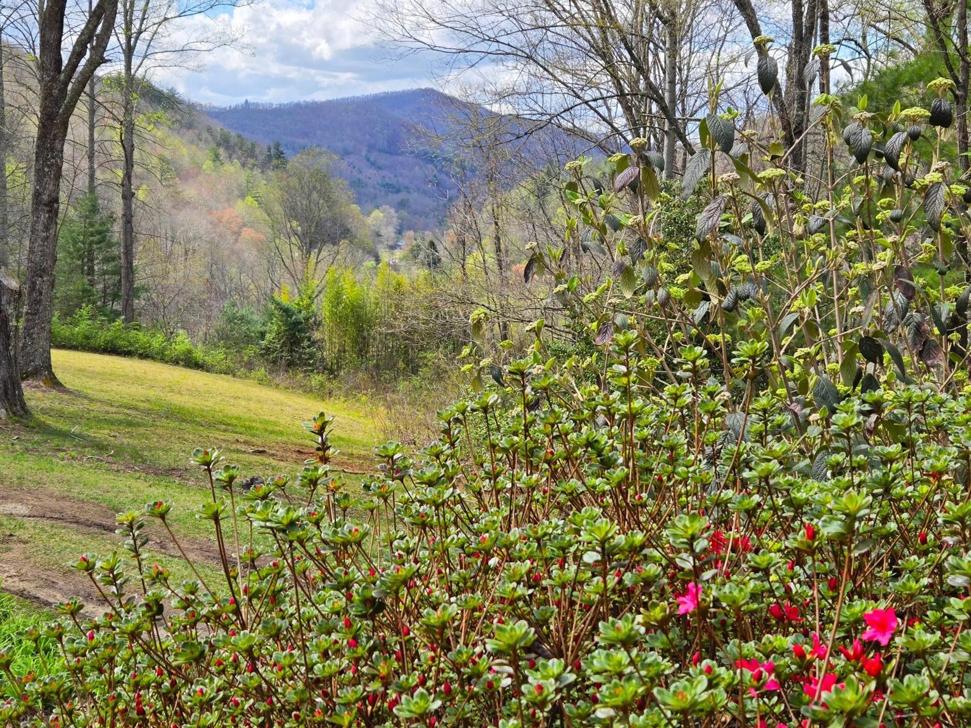 Bryson City Creekside Home With Hot Tub- 3 Bedroom-2 Bath Home Eksteriør billede